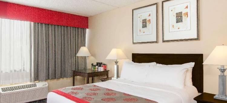 奥尔巴尼广场酒店(Albany Plaza Hotel)图片