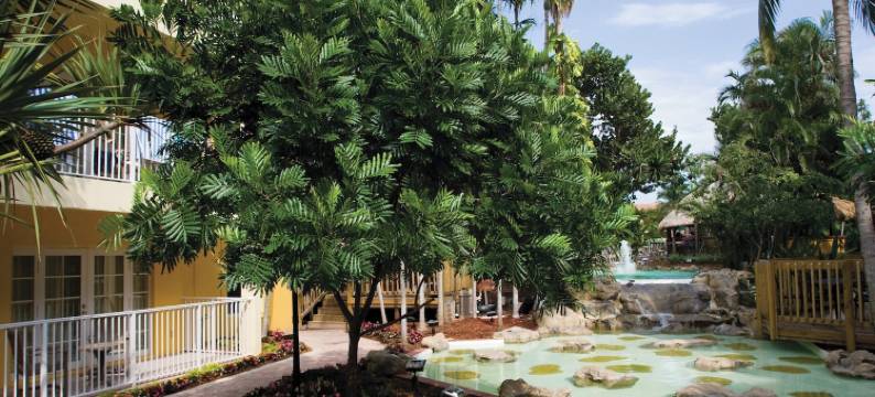 温德姆海洋花园酒店(Club Wyndham Sea Gardens)图片