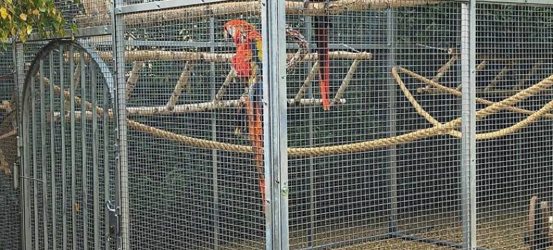 拉基洛阿蒂尔旅馆(La Girouardière)图片