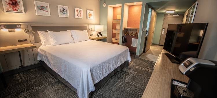 南阿什维尔希尔顿花园酒店(Hilton Garden Inn Asheville South)图片