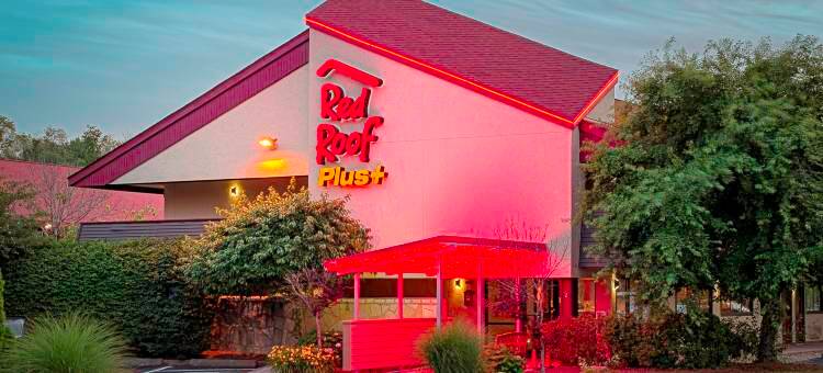 西斯普林菲尔德红顶Plus酒店(Red Roof Plus+ West Springfield)图片