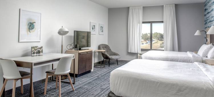 萨凡纳机场万豪TownePlace套房酒店(TownePlace Suites by Marriott Savannah Airport)图片