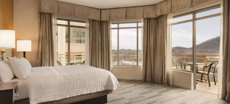 欢朋酒店 - 弗吉尼亚州罗阿诺克市中心(Hampton Inn & Suites Roanoke Downtown)图片
