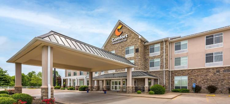 舒适套房酒店(Comfort Inn & Suites)图片