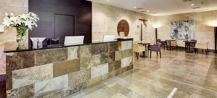 Sercotel大教堂门酒店(Sercotel Puerta de la Catedral)图片