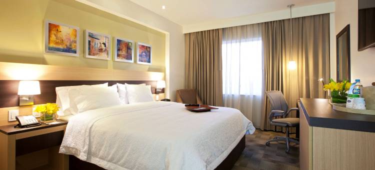 思劳阿罗普欢朋酒店(Hampton Inn by Hilton Silao-Aeropuerto Bajio)图片