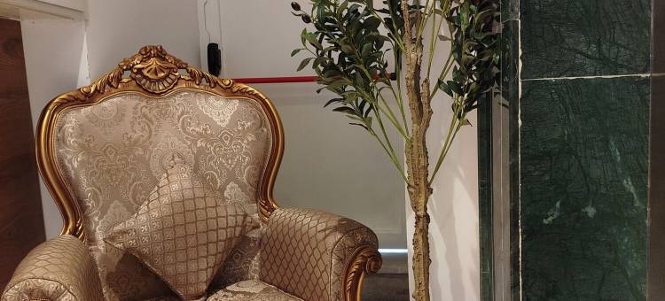 达尔法哈特套房酒店(dar farhat suite hotel)图片