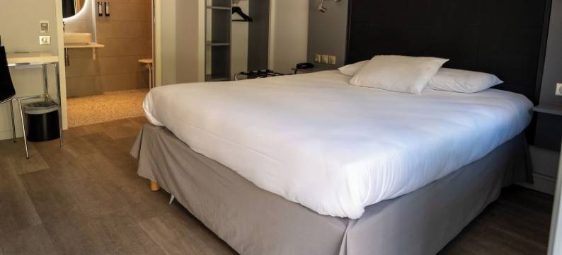 基里亚德酒店-圣福瓦里昂南(Kyriad Lyon Sud - Sainte Foy)图片