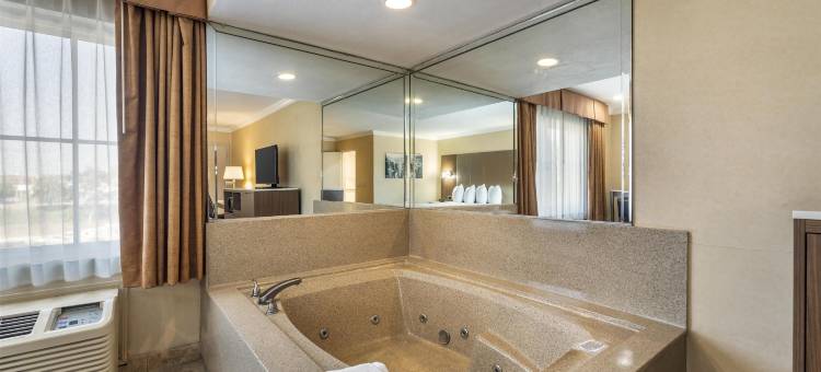 机场公园贝斯特韦斯特酒店(Best Western Airpark Hotel - Los Angeles LAX Airport)图片