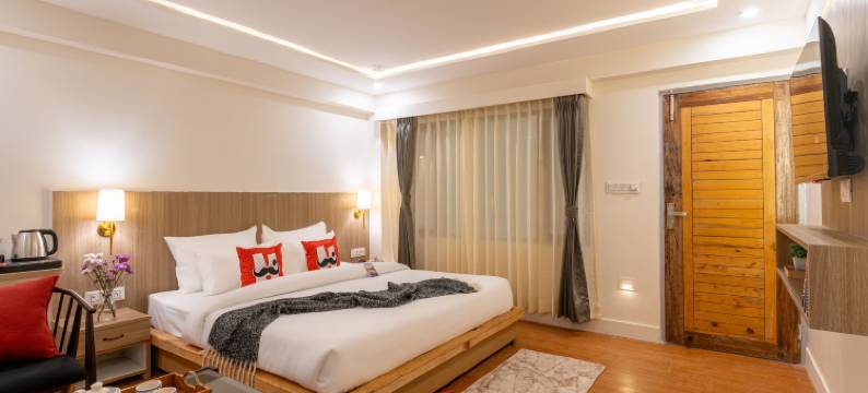 小胡子奈尼塔尔旅舍(Moustache Hostel Nainital)图片