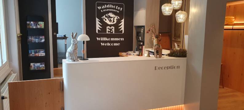 乌斯普嫩经济酒店(Budget Waldhotel Unspunnen)图片