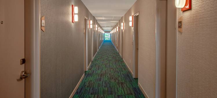 拉斯维加斯北希尔顿欣庭套房酒店(Home2 Suites by Hilton Las Vegas North)图片