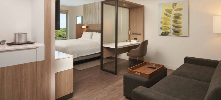 SpringHill Suites奥兰多莱克诺纳酒店(SpringHill Suites Orlando Lake Nona)图片