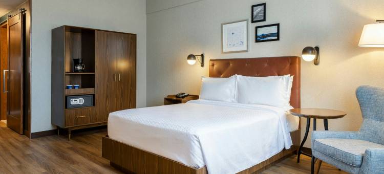 蒙特雷机场福朋喜来登酒店(Four Points by Sheraton Monterrey Airport)图片