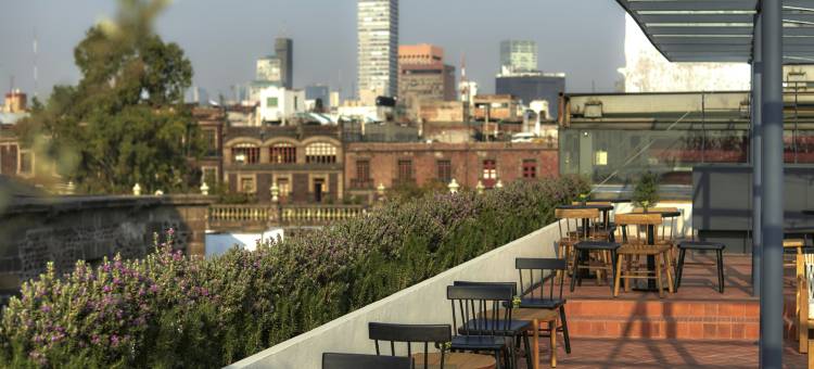 设计酒店成员，圆形墨西哥城(Círculo Mexicano, a Member of Design Hotels)图片