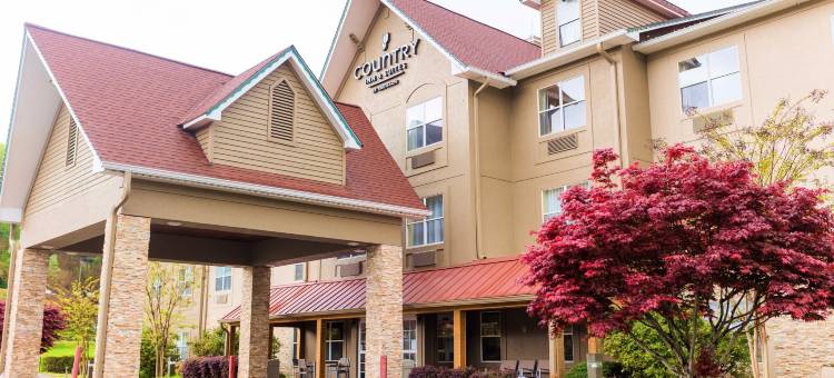 海伦丽怡酒店(Country Inn & Suites by Radisson, Helen, GA)图片