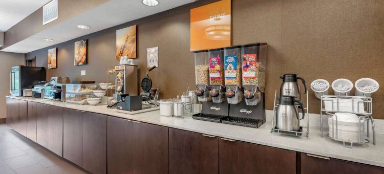 奥本I-69附近舒适套房酒店(Comfort Suites Auburn Near I-69)图片