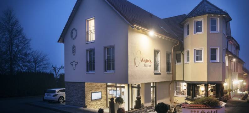 维德曼络温酒店(Widmann's Löwen)图片