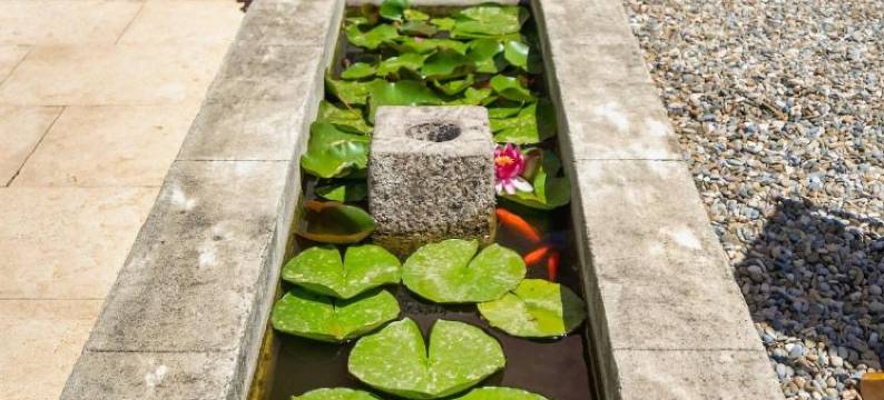 柠檬水别墅酒店(Villa Limonade, Maison d'Hotes)图片