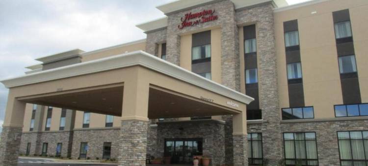 哈德森威斯康辛欢朋套房酒店(Hampton Inn and Suites Hudson)图片