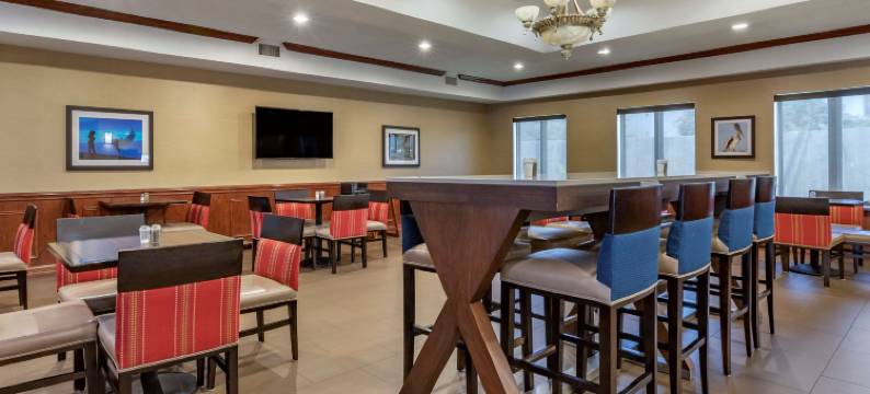 舒适套房酒店(靠近德克萨斯A&M科尔普斯克里斯蒂)(Comfort Suites Near Texas A&M - Corpus Christi)图片