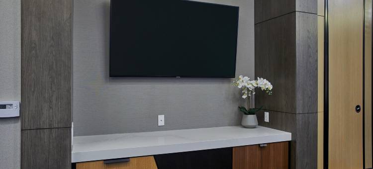 希尔顿欢朋套房酒店-洛杉矶谢尔曼·奥克斯(Hampton Inn & Suites Los Angeles/Sherman Oaks)图片