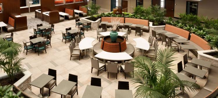 亚特兰大机场希尔顿安泊酒店(Embassy Suites by Hilton Atlanta Airport)图片