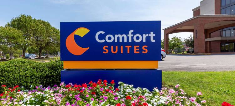 舒适套房酒店-弗雷德里克斯堡南(Comfort Suites Fredericksburg South)图片