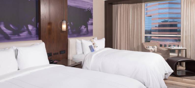 达拉姆市中心万豪酒店(Durham Marriott City Center)图片