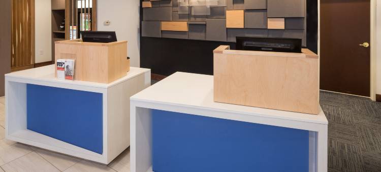 智选假日套房酒店底特律 - 乌蒂卡(Holiday Inn Express & Suites Detroit - Utica)图片