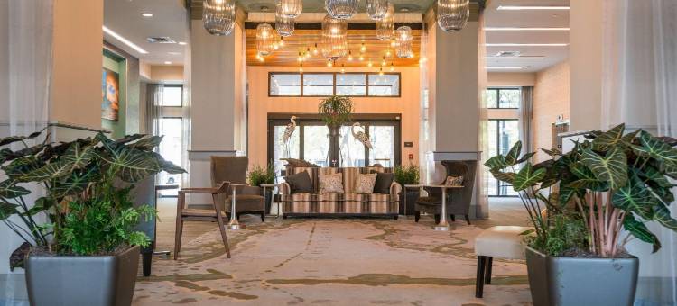 莫比尔市区希尔顿花园酒店(Hilton Garden Inn Mobile Downtown)图片