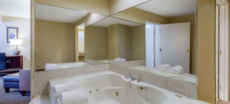 西南休斯顿舒格兰舒适套房酒店(Comfort Inn & Suites SW Houston Sugarland)图片