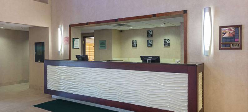 兰辛魁利提套房酒店(Quality Suites)图片