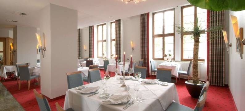 密查里斯酒店及餐厅(TOP VCH Hotel Michaelis Leipzig)图片