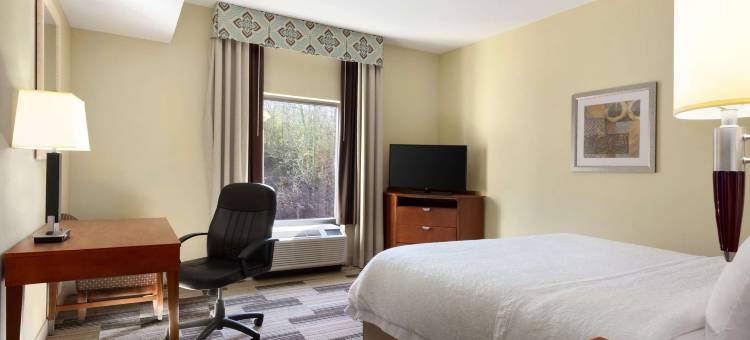伯明翰-东艾恩戴尔欢朋套房酒店(Hampton Inn & Suites Birmingham East Irondale)图片