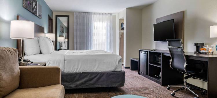 近威斯切斯舒眠套房酒店(Sleep Inn & Suites Near Westchase)图片