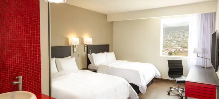 蒙特雷中心费斯塔快捷酒店(Fiesta Inn Express Monterrey Centro)图片