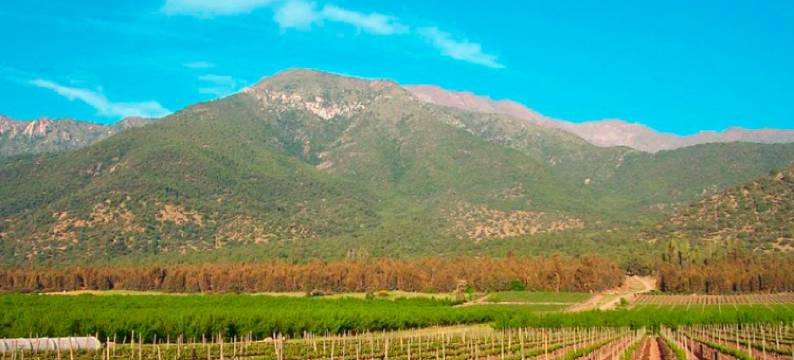 马哈达斯酒店(Las Majadas Hotel & Centro de Reuniones)图片