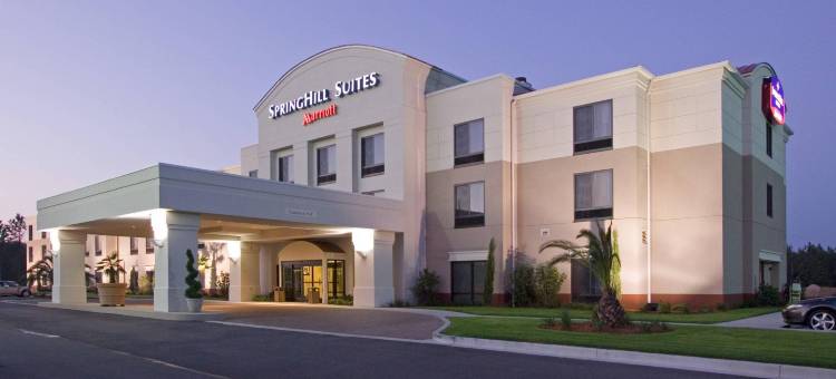 萨凡纳机场万豪SpringHill酒店(SpringHill Suites Savannah Airport)图片
