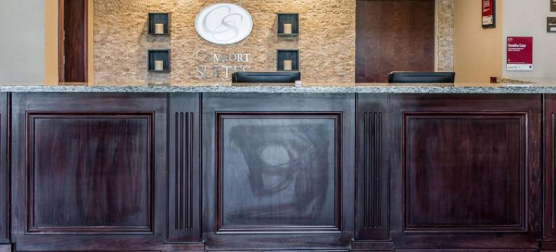 伦斯勒舒适套房酒店 - 近费尔奥克斯(Comfort Suites Rensselaer near Fair Oaks)图片