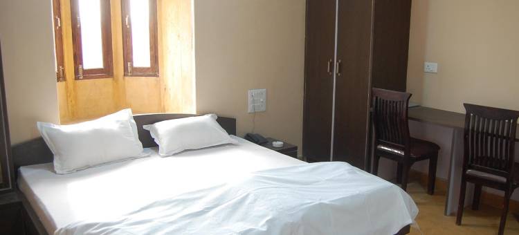 潘萨里皇宫酒店(Hotel Pansari Palace)图片