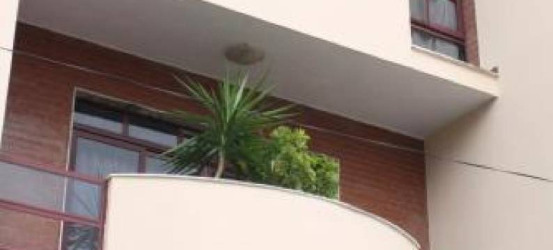 佩佩托酒店(Villa Pepeto Durres Albania)图片