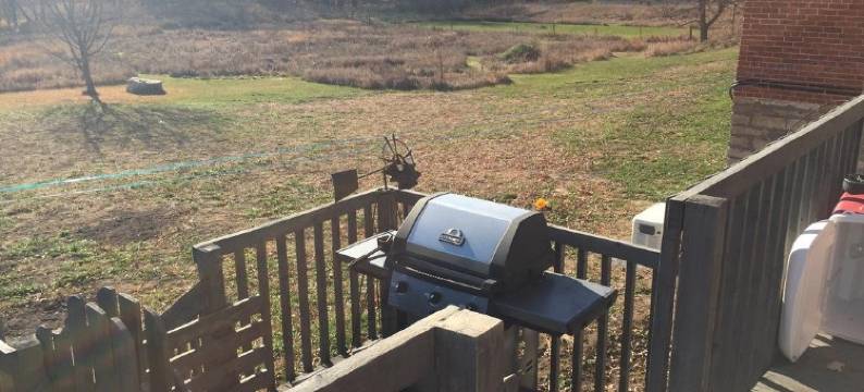 斑点狗住宿加早餐旅馆(Spotted Dog B and B)图片