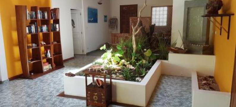 Villa les Cocotiers图片