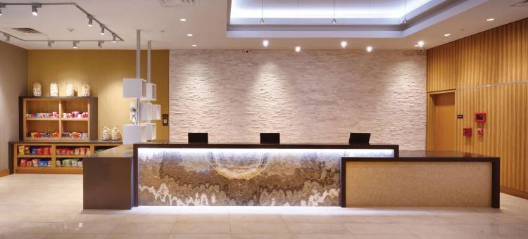 阿纳海姆凯悦嘉寓度假村/会议中心(Hyatt House at Anaheim Resort/Convention Center)图片