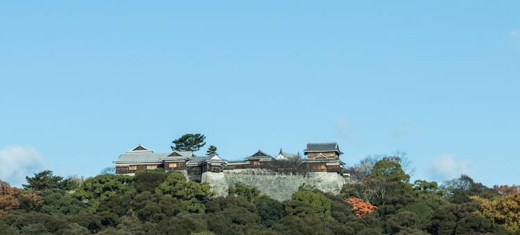 多米松山天然温泉酒店(Dormy Inn Matsuyama Natural Hot Spring)图片