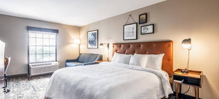 格林斯伯勒机场福朋喜来登酒店(Four Points by Sheraton Greensboro Airport)图片