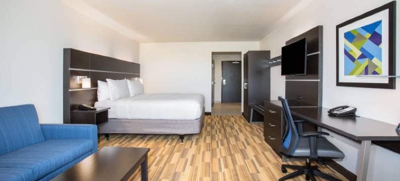 智选假日套房酒店-拉皮德城/拉什莫尔南(Holiday Inn Express & Suites RAPID CITY - RUSHMORE SOUTH by IHG)图片