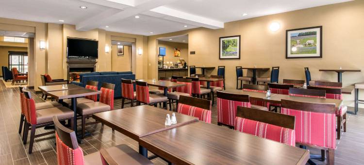 IAH布什机场-东舒适套房酒店(Comfort Inn & Suites IAH Bush Airport - East)图片