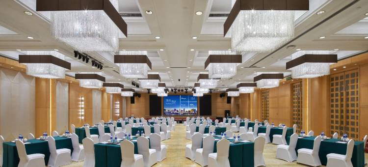 岳阳格兰云天大酒店(岳阳楼步行街店)图片